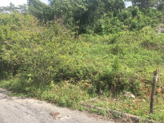 Residential lot For Sale in Albion Estates, Manchester Jamaica | [4]