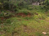 Residential lot For Sale in Balaclava, St. Elizabeth Jamaica | [2]