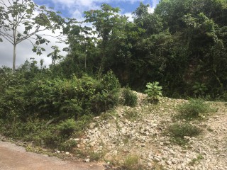 Residential lot For Sale in Albion Estates, Manchester Jamaica | [3]