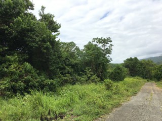 Residential lot For Sale in Fairy Hill, Portland Jamaica | [14]