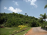 Residential lot For Sale in Mandeville, Manchester Jamaica | [2]