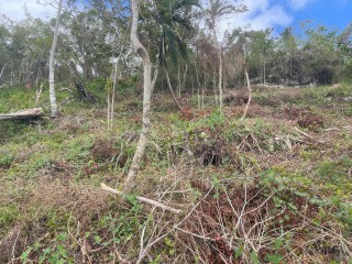 Land For Sale in Cedar Gardens and Waltham Road 1 Acre Lot, Manchester Jamaica | [5]