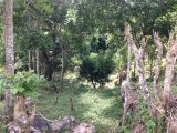 Residential lot For Sale in STONY HILL, Kingston / St. Andrew Jamaica | [9]