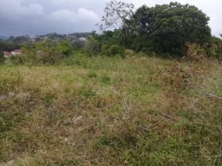 Residential lot For Sale in Brumalia, Manchester Jamaica | [4]