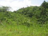 Residential lot For Sale in Anchovy, St. James Jamaica | [12]