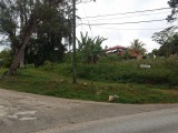 Residential lot For Sale in Mandeville, Manchester Jamaica | [4]