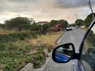 Land For Sale in South Haven  ALBION    lot 43c, St. Thomas Jamaica | [3]