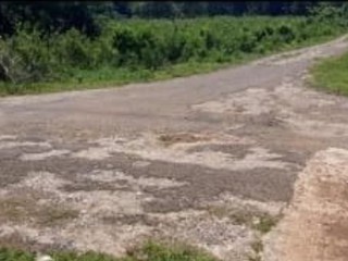 Land For Sale in Unity Wakefield, Trelawny Jamaica | [3]