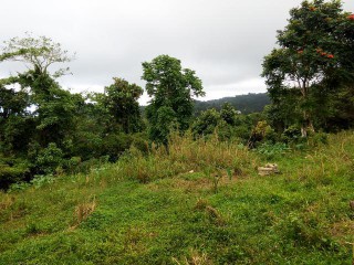 Commercial/farm land For Sale in Bonnie Gate, St. Mary Jamaica | [6]