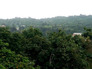 Commercial/farm land For Sale in Bonnie Gate, St. Mary Jamaica | [3]