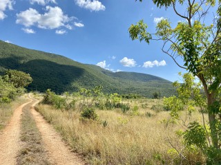 Residential lot For Sale in Mandeville, near Spur Tree, Manchester Jamaica | [3]