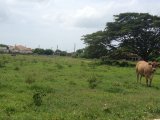 Residential lot For Sale in Black River, St. Elizabeth Jamaica | [2]