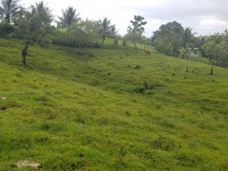 Residential lot For Sale in Seaford TownGerman Town, Westmoreland Jamaica | [1]