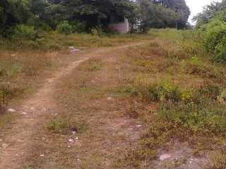 Commercial/farm land For Sale in Middle Quarters, St. Elizabeth Jamaica | [2]