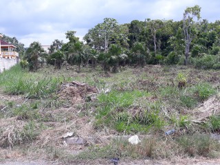 Residential lot For Sale in Copperwood, Hanover Jamaica | PropertyAdsJa.com