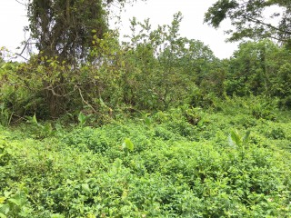 Residential lot For Sale in Fairy Hill, Portland Jamaica | [3]