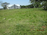 Commercial/farm land For Sale in Santa Cruz, St. Elizabeth Jamaica | [2]