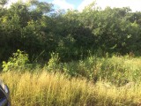 Residential lot For Sale in Alligator Pond Manchester, Manchester Jamaica | [6]