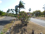 Residential lot For Sale in Twin Palm Estate, Clarendon Jamaica | [5]