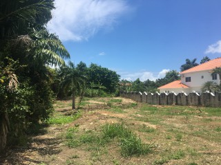 Residential lot For Sale in Tower Isle, St. Mary Jamaica | [4]