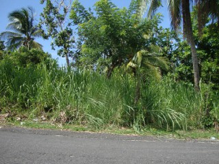 Land For Sale in Highgate, St. Mary Jamaica | [1]