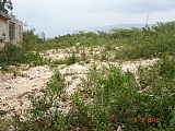 Commercial/farm land For Sale in Pedro Plains close to Treasure Beach, St. Elizabeth Jamaica | [7]