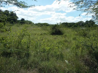 Residential lot For Sale in Glenmuir, Clarendon Jamaica | [4]