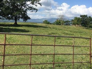 Residential lot For Sale in Linstead, St. Catherine Jamaica | [1]