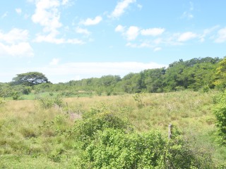 Commercial/farm land For Rent in Black River, St. Elizabeth Jamaica | [11]