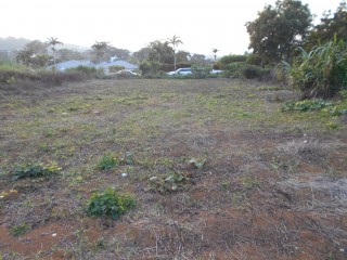 Residential lot For Sale in Mandeville, Manchester Jamaica | [8]