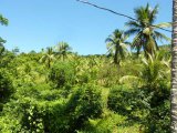 Commercial/farm land For Sale in Hope Bay, Portland Jamaica | [2]