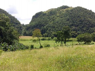 Commercial/farm land For Sale in Anchovy, St. James Jamaica | [4]