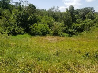 Residential lot For Sale in Coleyville, Manchester Jamaica ...