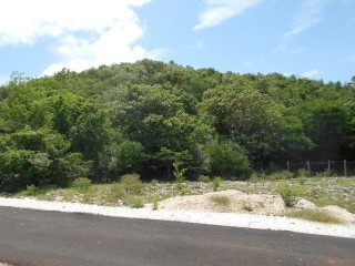 Residential lot For Sale in Clarendon, Manchester, Jamaica