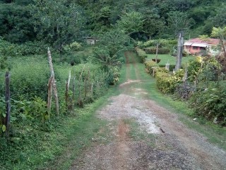 Residential lot For Sale in Williamsfield, Manchester Jamaica | [2]