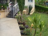 House For Rent in Cambridge St James, St. James Jamaica | [1]