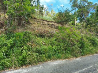 Land For Sale in Cedar Gardens and Waltham Road 1 Acre Lot, Manchester Jamaica | [4]