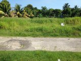 Residential lot For Sale in PetersField, Westmoreland Jamaica | [2]