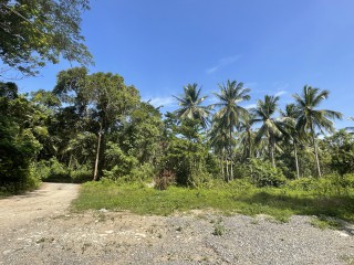 Commercial/farm land For Sale in Mullet Farm, Portland Jamaica | [2]