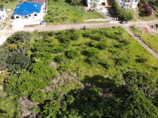 Residential lot For Sale in Mandeville, Manchester Jamaica | [9]