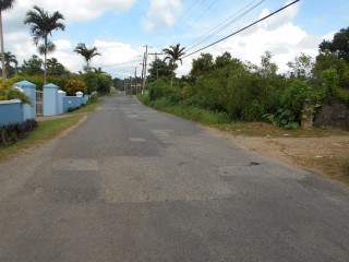 Land For Sale in Mandeville, Manchester Jamaica | [8]