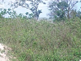 Residential lot For Sale in Herman Hill, St. Ann Jamaica | [5]