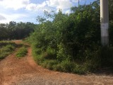 Residential lot For Sale in Alligator Pond Manchester, Manchester Jamaica | [5]