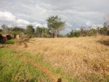 Residential lot For Sale in Rose Hill, Manchester Jamaica | [7]