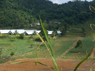 Residential lot For Sale in Sligoville, St. Catherine Jamaica | [3]