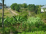 Commercial/farm land For Sale in Chapelton, Clarendon Jamaica | [2]