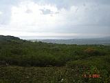 Commercial/farm land For Sale in Pedro Plains close to Treasure Beach, St. Elizabeth Jamaica | [8]