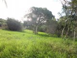 Residential lot For Sale in Rose Hill, Manchester Jamaica | [4]