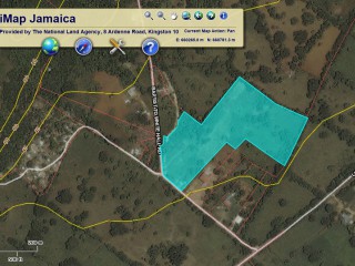 Commercial/farm land For Sale in Middle Quarters, St. Elizabeth Jamaica | [1]