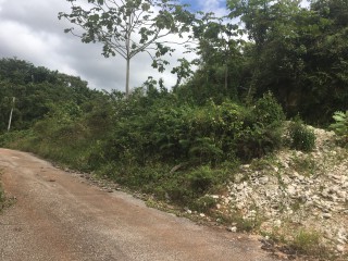 Residential lot For Sale in Albion Estates, Manchester Jamaica | [4]